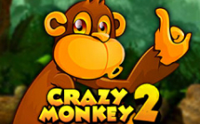 Игровой автомат Игровой аппарат Crazy Monkey 2 на сайте казино для вашего отдыха