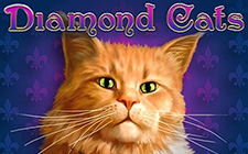 Игровой автомат Играйте в Moorhuhn на бездепозитные бонусы в казино 2018